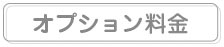 オプション料金